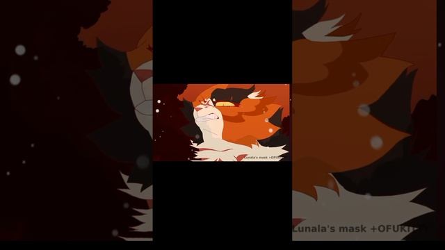 Коты-воители Метеор.