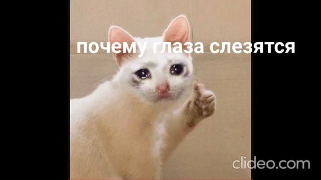 clideo_editor_d79227fa22c6456f8bbe81f7fe674a93