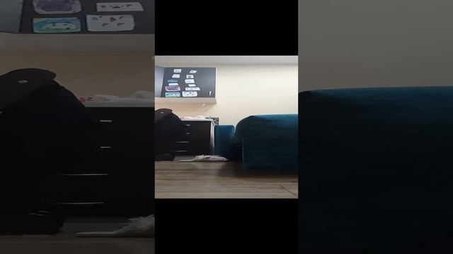 подпишитесь я очень очень вас люблю но я очень очень сильно занита😘😘😘😗
