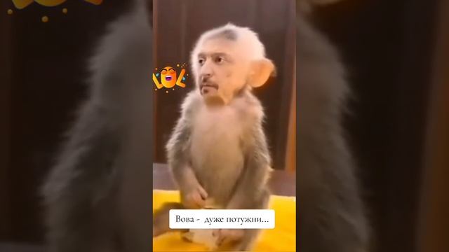 Каждая доза,для Мира угроза!