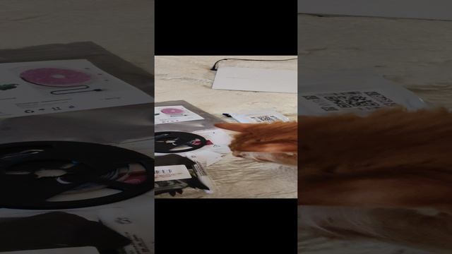 1000067956.mp4