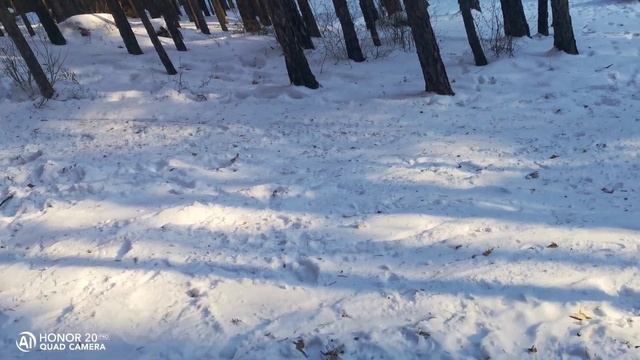 На природе 3
