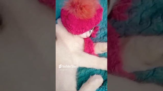 Фотосессия "Коту под Хвост"…?!😻