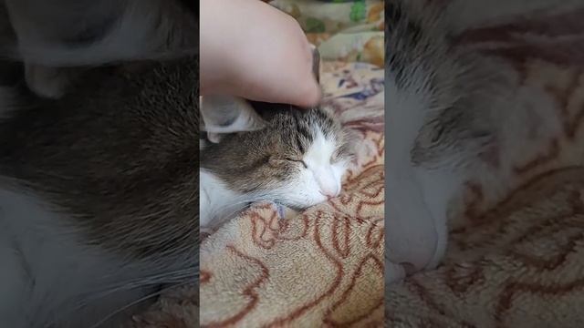 1000007733.mp4
