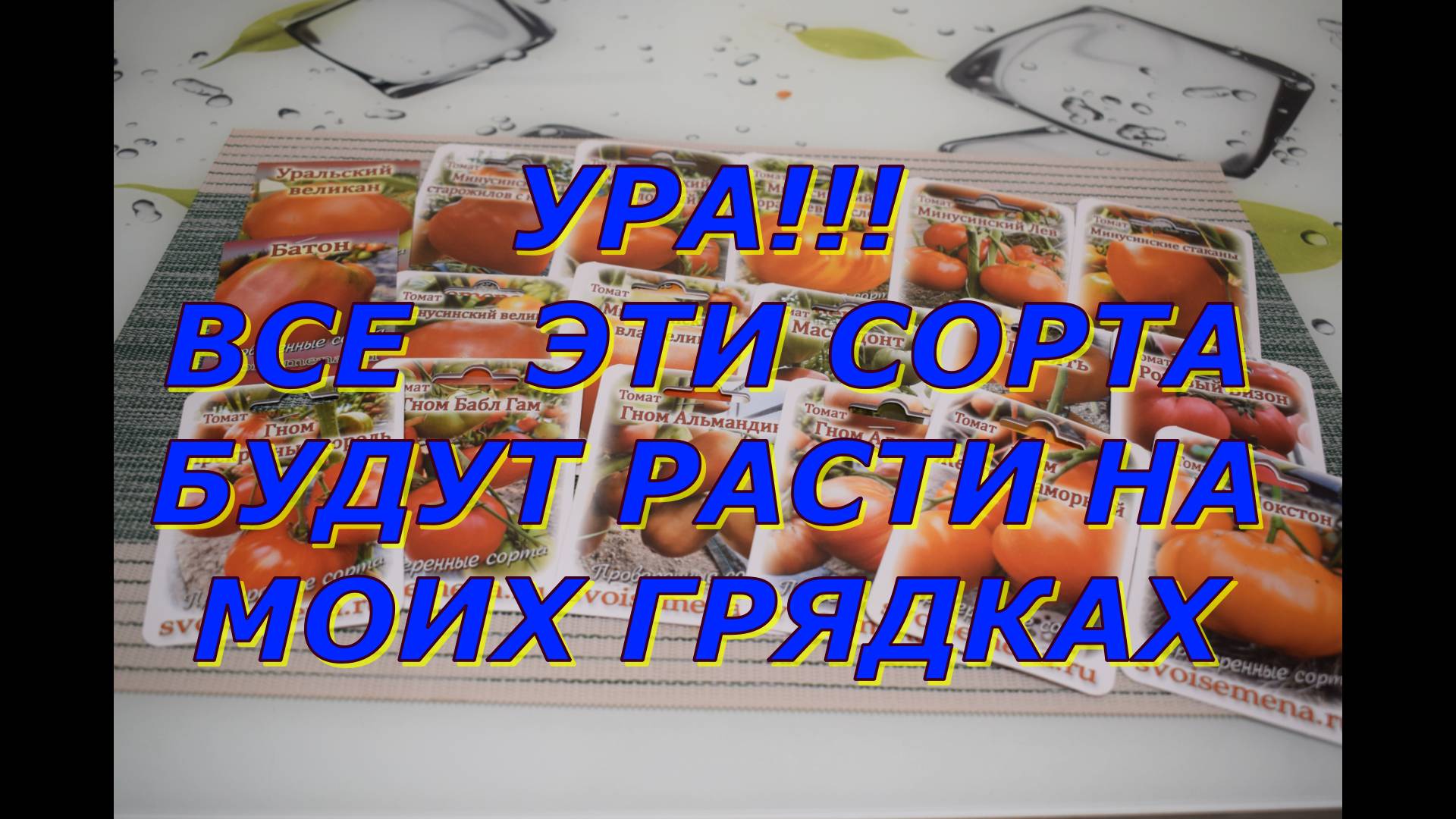 Распаковываю посылку с семенами томатов, которые буду выращивать в новом 2025!