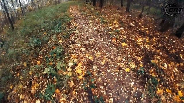 Катание по грязям 24 октября 2020 года с Федом