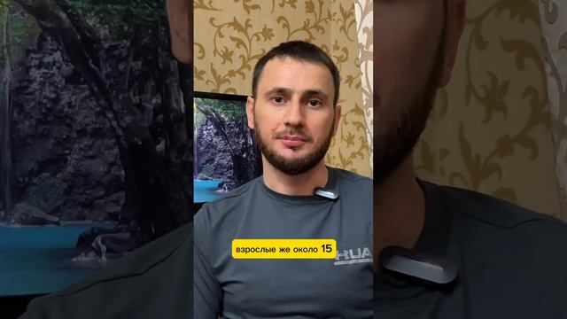 Сколько раз в день улыбаешься?