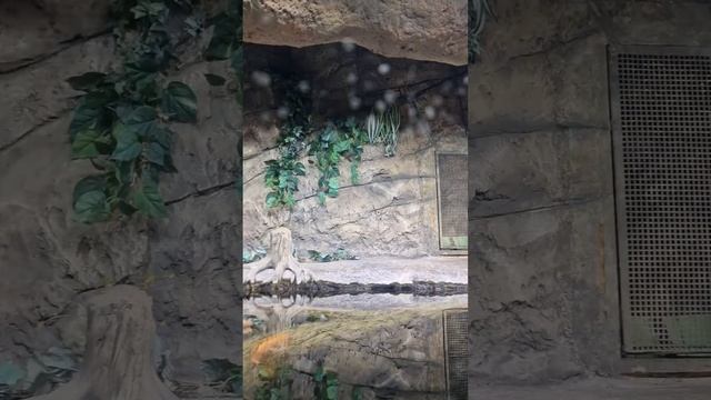 8 января 2024 г.