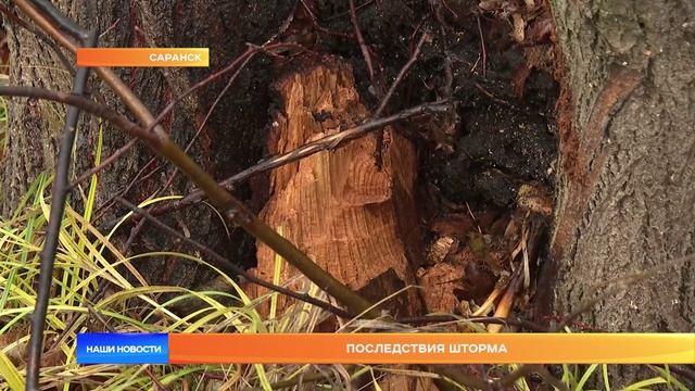 Последствия шторма в Мордовии