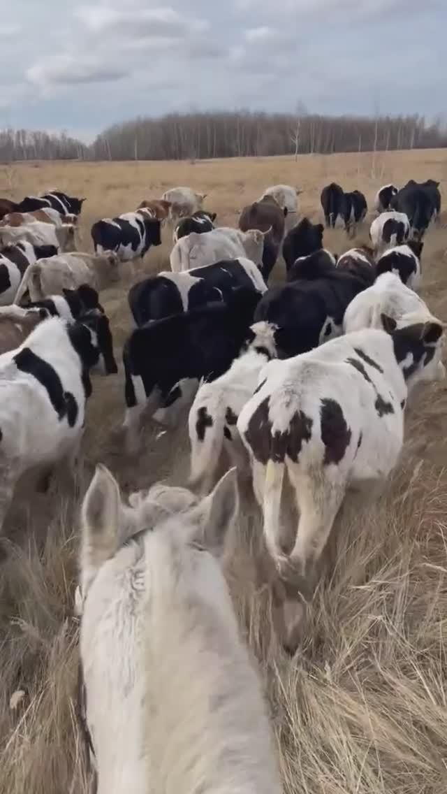 Захватывающее видео от наших челябинских друзей