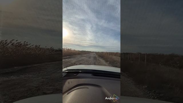 1000034311.mp4