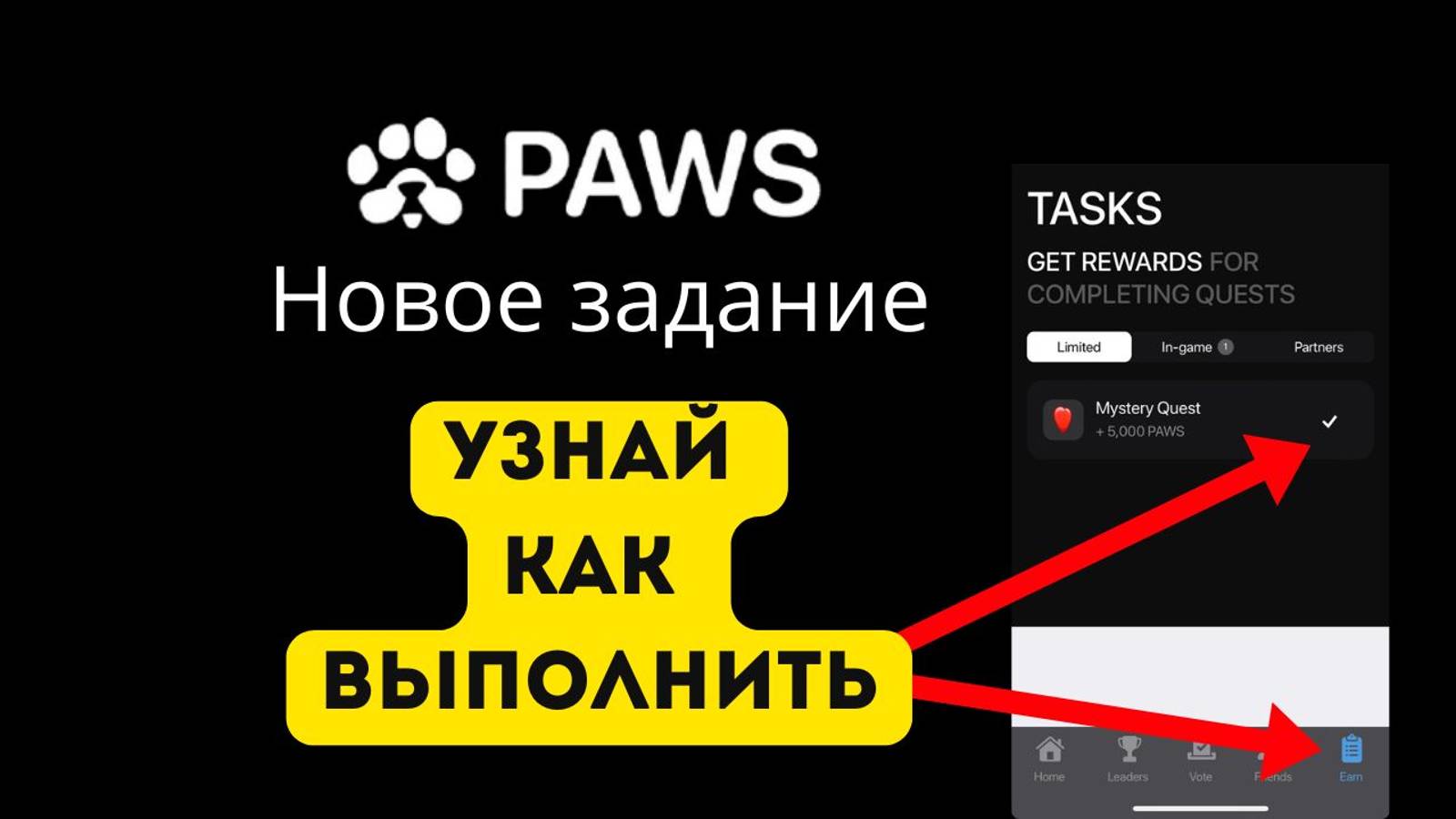 Paws новое задание от 21 11 2024 #paws новое задание #как выполнить задание в paws