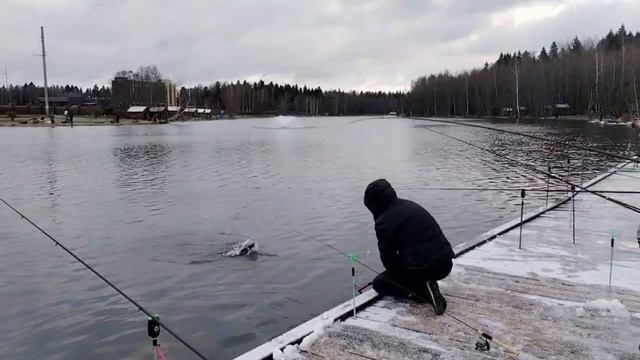 Поимки на запуске