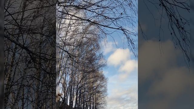 Кама - Камушка.