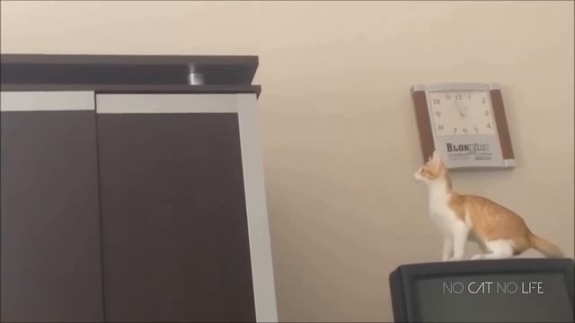 Неудачные прыжки