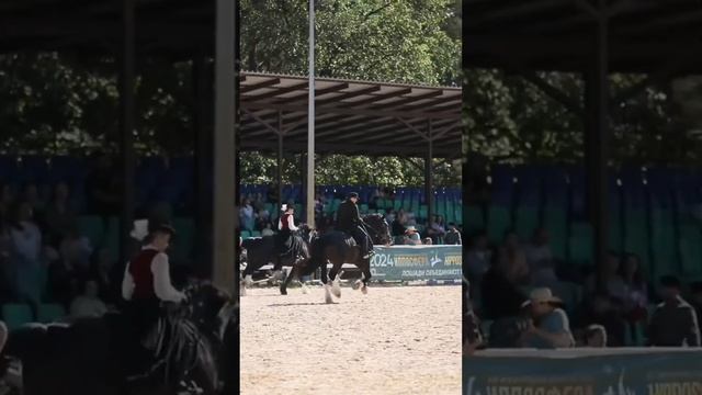 Номер «Хантер» Видеограф   @id412984008 (Ася Пчелинцева)