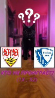 Прогноз на 11 тур Бундеслиги. Штутгарт - Бохум.