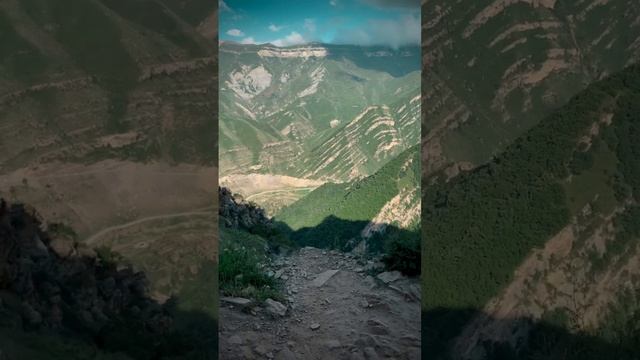 Дайте мне белые крылья...