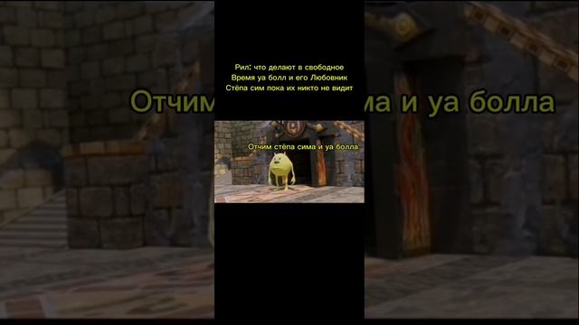 22-11-2024