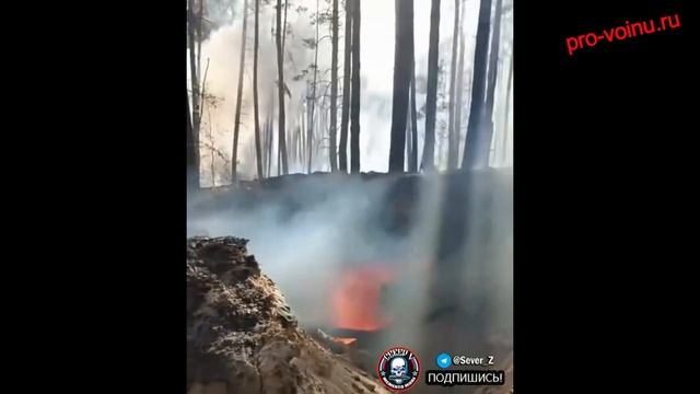 Результат прямого попадания российского снаряда по блиндажу ВСУ.