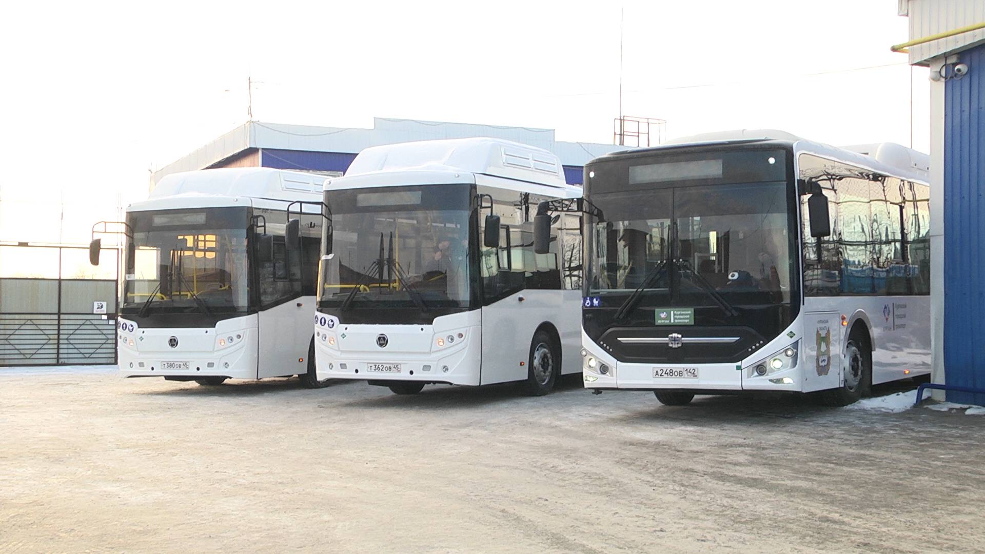 По какому маршруту будут курсировать три новых автобуса в Кургане?