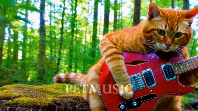 Y2mate.mx-CAT MUSIC CAT #cat #music #cute #love #catlover #kittenmusic #funny #musiccat #funnyvideo