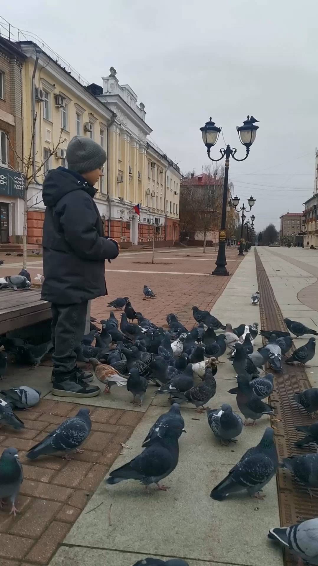 ПОВЕЛИТЕЛЬ ГОЛУБЕЙ