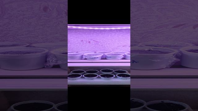 1000067962.mp4
