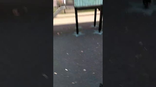 1000015987.mp4