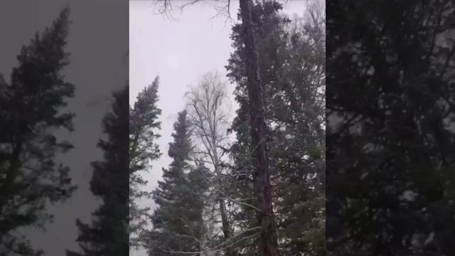 красота вокруг нас