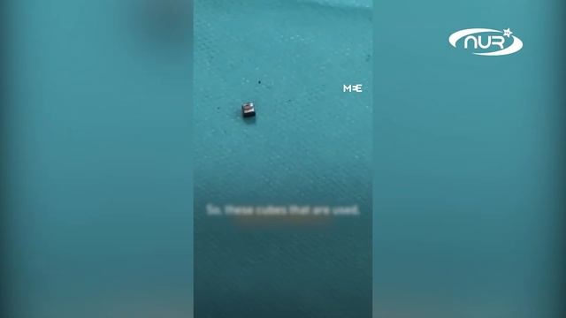 Израильские военные начиняют ими снаряды для Газы!