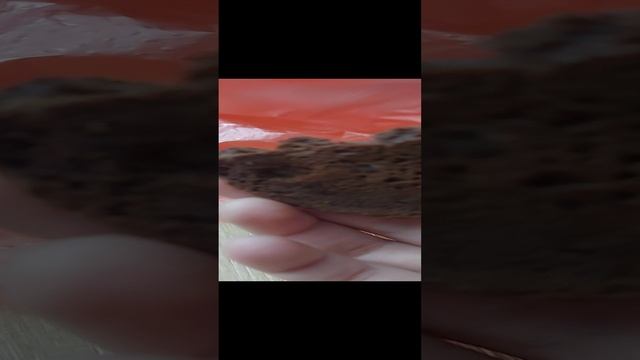 1000067907.mp4