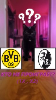 Прогноз на 11 тур Бундеслиги. Боруссия Дортмунд - Фрайбург.