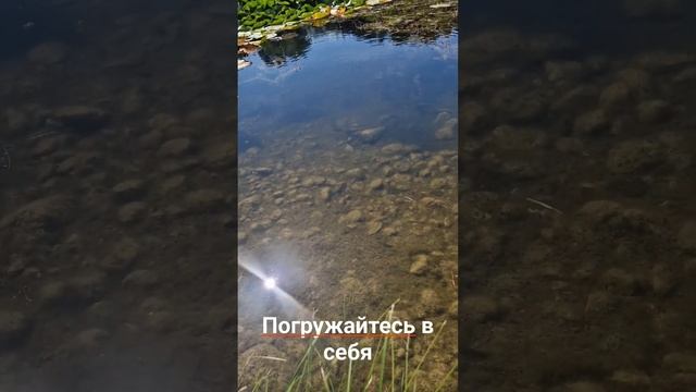 8 января 2024 г.