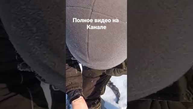 Рыбалка на Иртыш #45йрыбак #shorts