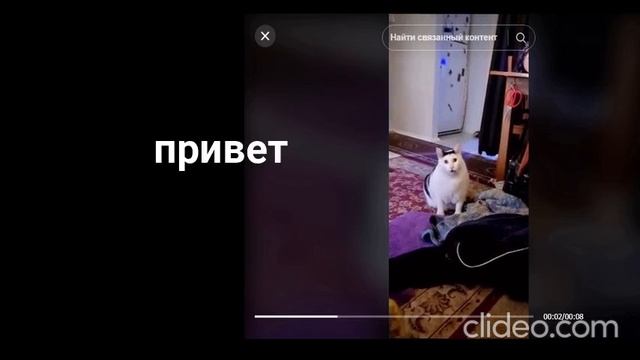 clideo_editor_7501ba7f96bd4b93a6c5f3f093c66463