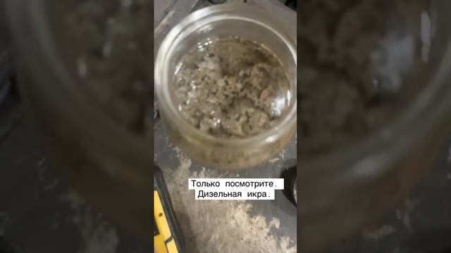 Клиент делал форсунки ( не у нас, если что) месяц назад. Умерли. Антифриз, грязь, стружка, вода.
