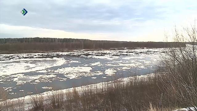 На северных реках образовался ледостав, на южных пока сохраняются забереги, шугоход и ледоход
