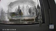 Кормушечка 22.11.24
