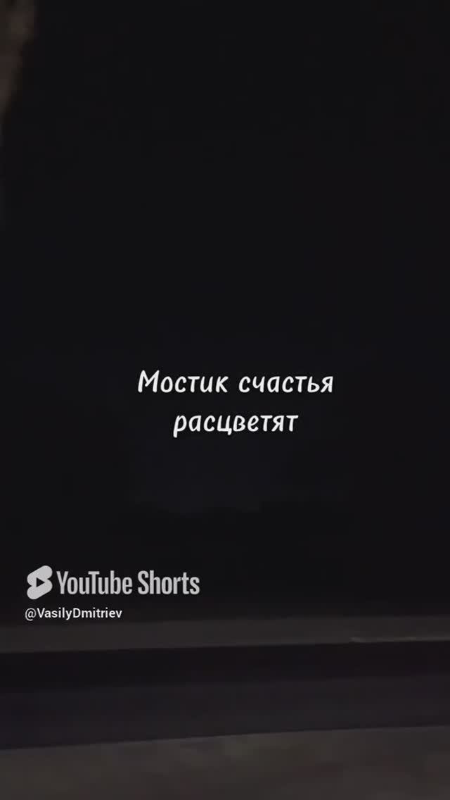 По любви стихи читает автор В. Дмитриев #любовь #love #душа #поэзия #надежда #лирика #shorts