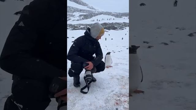 Когда у фотографов появляются новые друзья