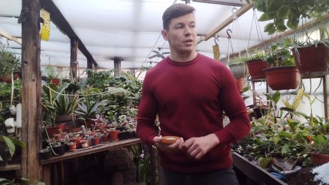 Комнатные растения в зимний период🌿🌿🌿