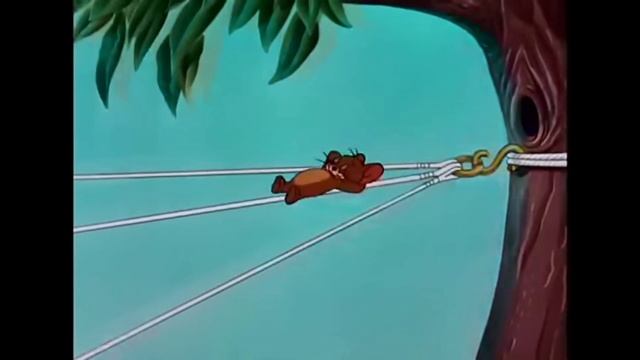 весёлые истории