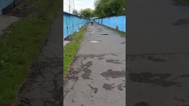 Днепр с двигателем от мотоблока