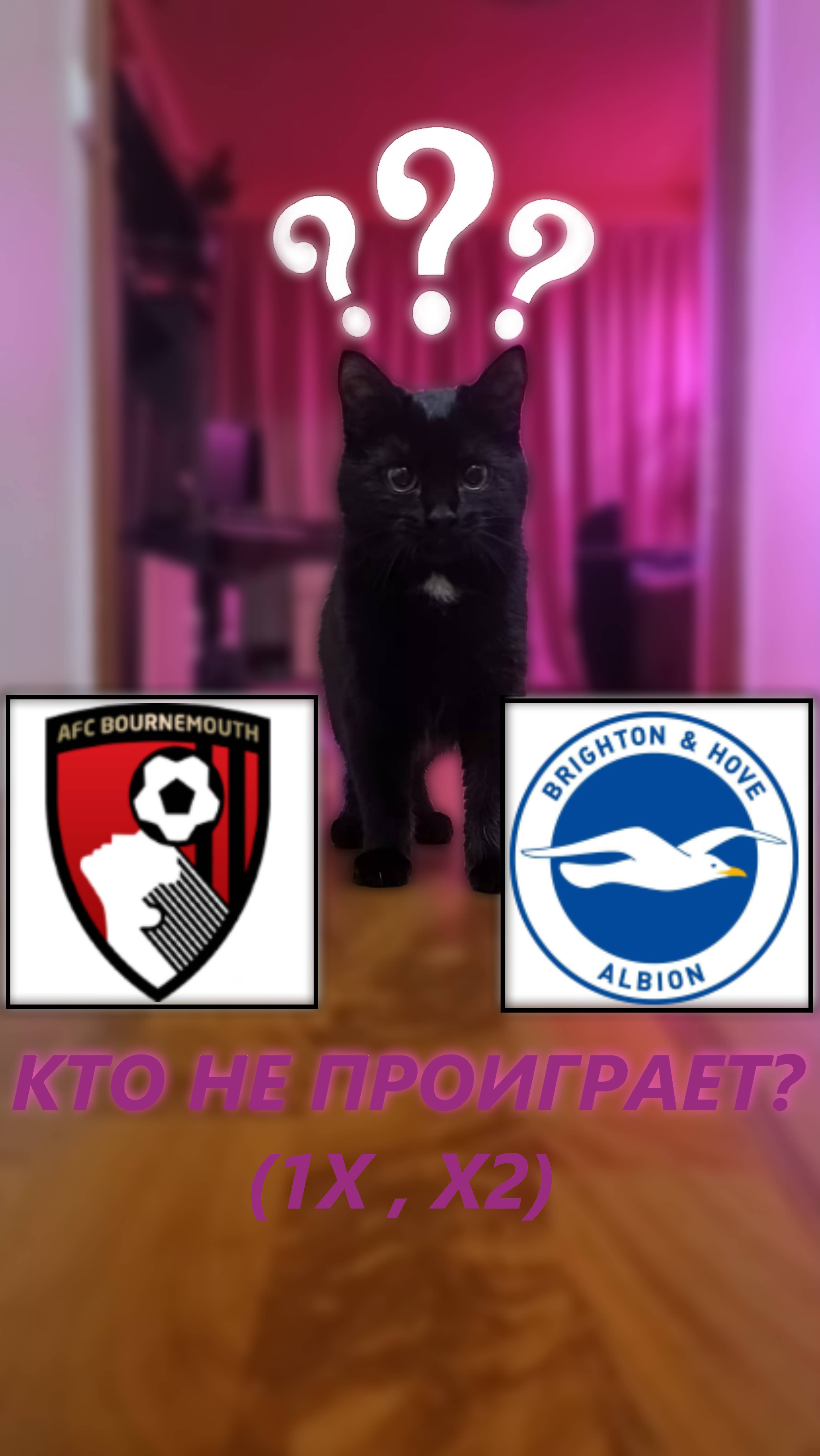 Прогноз на 12 тур АПЛ. Борнмут - Брайтон.