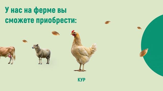 Анимированная презентация Power Point на конкурс