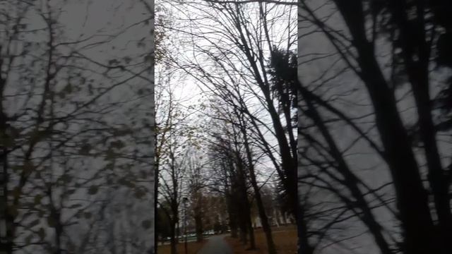 не торопите время...