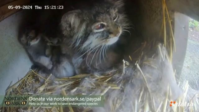 Передумал выходить