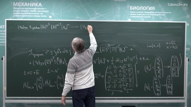 Степаньянц К.В.-Суперсимметрия в физике элементарных частиц-17.Суперпотенциал МССМ из SU(5) ТВО