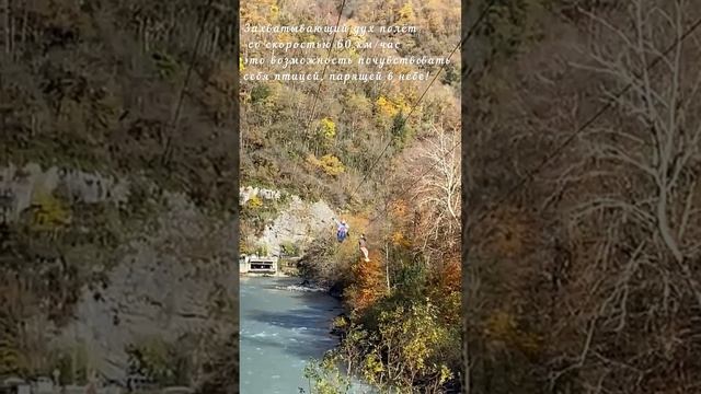 Абхазия. Дегустация меда. Водопад Мужские слезы. Голубое озеро и озеро Рица. Полет на Зиплайне